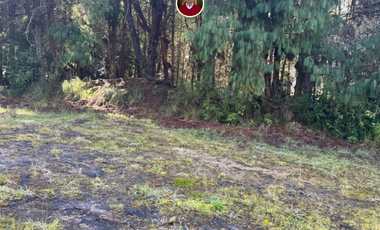 En Challuabamba Cuenca vendo 12 hectareas de terrreno - 12 hectares of land for sale in Cuenca