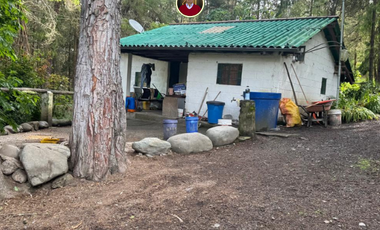 En Challuabamba Cuenca vendo 12 hectareas de terrreno - 12 hectares of land for sale in Cuenca