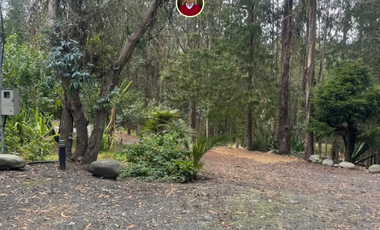 En Challuabamba Cuenca vendo 12 hectareas de terrreno - 12 hectares of land for sale in Cuenca
