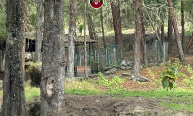 En Challuabamba Cuenca vendo 12 hectareas de terrreno - 12 hectares of land for sale in Cuenca
