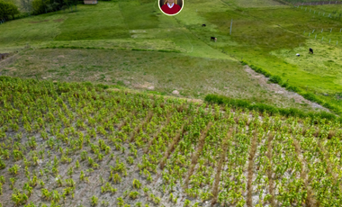 Amplio terreno en Paute 8300 m² con agua natural, excelente ubicación junto a la vía y vista al valle – land for sale in Paute Ecuador