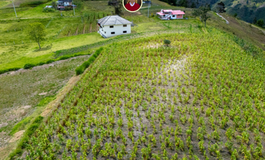 Amplio terreno en Paute 8300 m² con agua natural, excelente ubicación junto a la vía y vista al valle – land for sale in Paute Ecuador