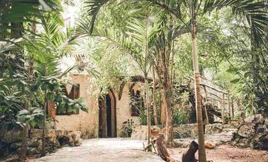 CABAÑA EN LA SELVA CON CENOTE