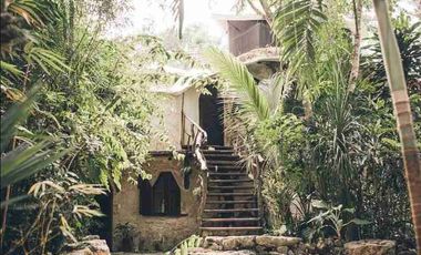 CABAÑA EN LA SELVA CON CENOTE