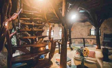 CABAÑA EN LA SELVA CON CENOTE