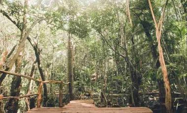 CABAÑA EN LA SELVA CON CENOTE