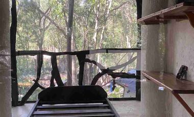 CABAÑA EN LA SELVA CON PANEL SOLAR. VIVE CERCA DE UN CENOTE