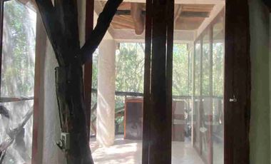 CABAÑA EN LA SELVA CON PANEL SOLAR. VIVE CERCA DE UN CENOTE
