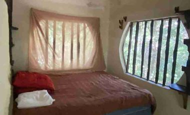 CABAÑA EN LA SELVA CON PANEL SOLAR. VIVE CERCA DE UN CENOTE