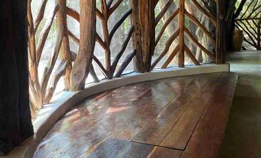 CABAÑA EN LA SELVA CON PANEL SOLAR. VIVE CERCA DE UN CENOTE