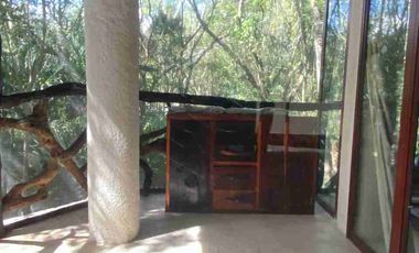 CABAÑA EN LA SELVA CON PANEL SOLAR. VIVE CERCA DE UN CENOTE