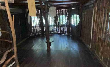 CABAÑA EN LA SELVA CON PANEL SOLAR. VIVE CERCA DE UN CENOTE
