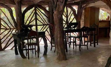 CABAÑA EN LA SELVA CON PANEL SOLAR. VIVE CERCA DE UN CENOTE