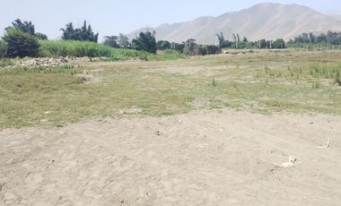 VENTA DE TERRENO AGRICOLA 300m2 CHANCAY