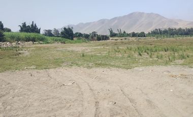 VENTA DE TERRENO AGRICOLA 300m2 CHANCAY