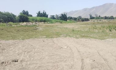 VENTA DE TERRENO AGRICOLA 300m2 CHANCAY