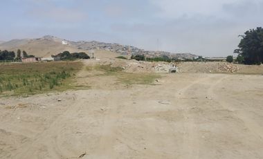 VENTA DE TERRENO AGRICOLA 300m2 CHANCAY