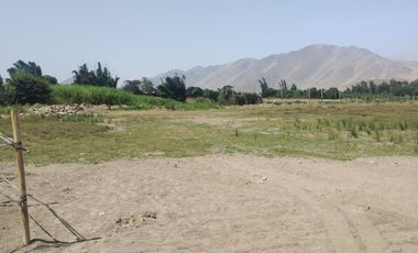 VENTA DE TERRENO AGRICOLA 300m2 CHANCAY