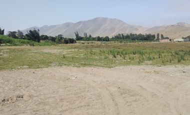 VENTA DE TERRENO AGRICOLA 300m2 CHANCAY