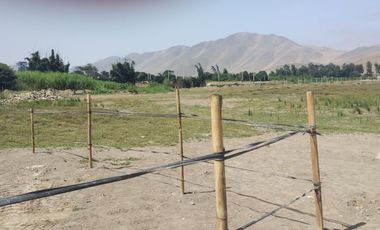 VENTA DE TERRENO AGRICOLA 300m2 CHANCAY