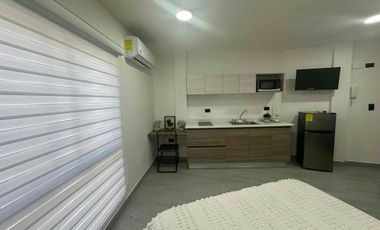 Loft y Depas con muebles en renta, se puede facturar la renta, Los Pinos