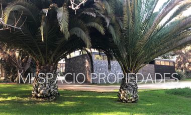 Camino Carampangue - El Manzano