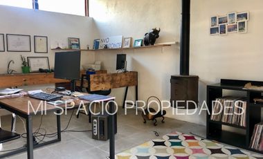 Camino Carampangue - El Manzano