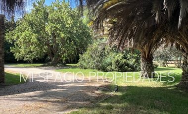 Camino Carampangue - El Manzano