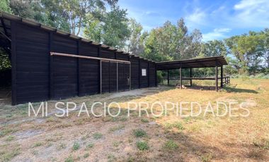 Camino Carampangue - El Manzano