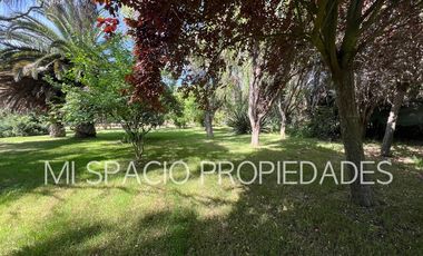 Camino Carampangue - El Manzano