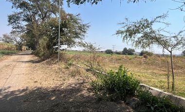 🌿✨ TERRENOS EN VENTA EN ITZAMATITLÁN, YAUTEPEC, MORELOS ✨🌿