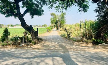 🌿✨ TERRENOS EN VENTA EN ITZAMATITLÁN, YAUTEPEC, MORELOS ✨🌿