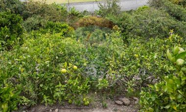 Venta Casa sector Socapamba en Priorato