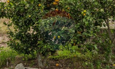 Venta Casa sector Socapamba en Priorato