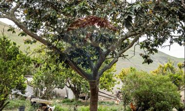 Venta Casa sector Socapamba en Priorato