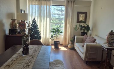 DEPARTAMENTO OHIGGINS 358  OPORTUNIDAD