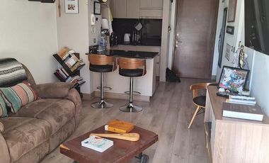 HERMOSO DEPTO SUECIA 2455