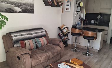 HERMOSO DEPTO SUECIA 2455