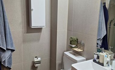 HERMOSO DEPTO SUECIA 2455