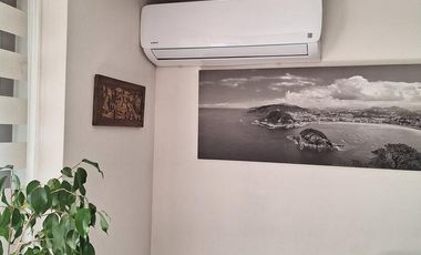 HERMOSO DEPTO SUECIA 2455