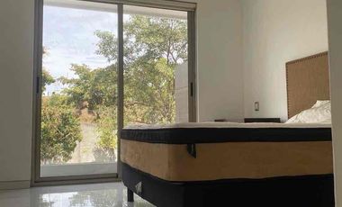 Depa en renta Planta baja con muebles o sin muebles, listo para habitar, barrio san Agustín interior
