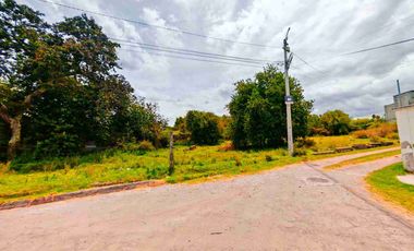 Terreno en venta plano ideal para constructores,sector Tumbaco,Villa Vega