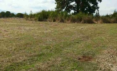 PARCELA PLANA 5.000 M2