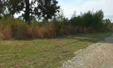 PARCELA PLANA 5.000 M2