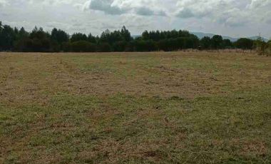 PARCELA PLANA 5.000 M2