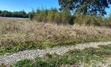 PARCELA PLANA 5.000 M2