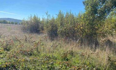 PARCELA PLANA 5.000 M2