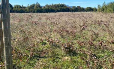 PARCELA PLANA 5.000 M2