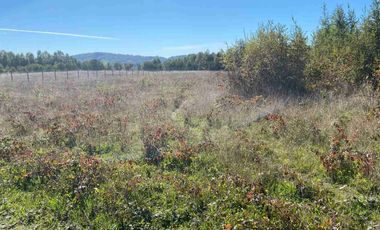 PARCELA PLANA 5.000 M2