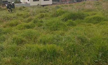 Se vende 11.5 Hectáreas en el centro de Tulcan Carchi Ecuador URBANAS